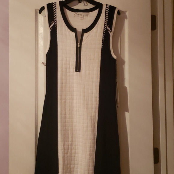 Curio New York Dress - Picture 1 of 8